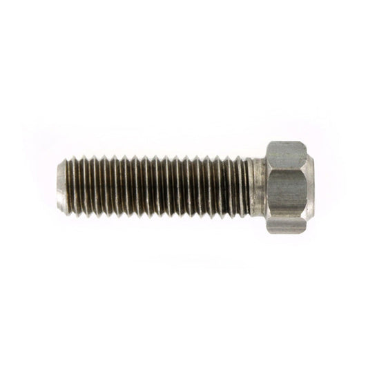 ACE-M8a Acewell M8 x 1.25mm Magnetic Bolt for Brake Disc
